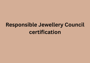 B Corp Certification (2)