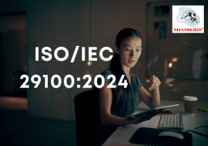 ISO-IEC 29100-2024